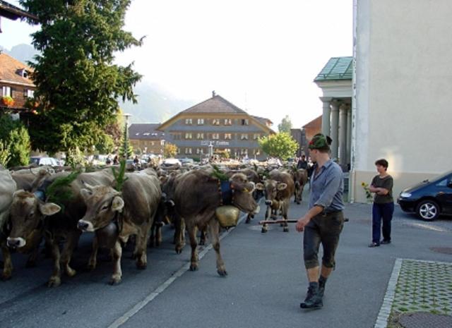 Hotel Oxa Hittisau Extérieur photo
